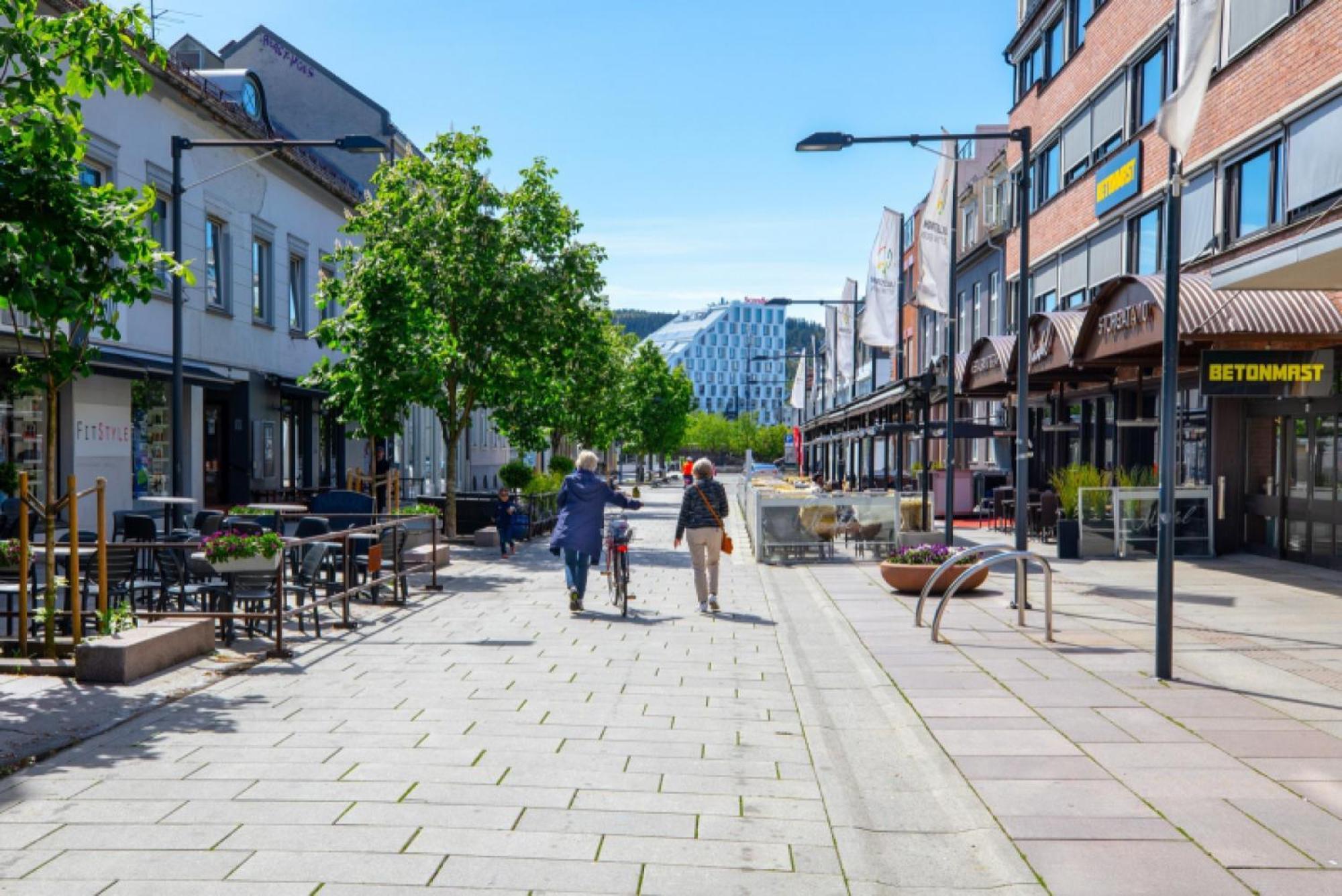Km Rentals - Lillestrom City Экстерьер фото